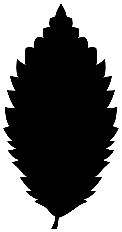 Elm leaf