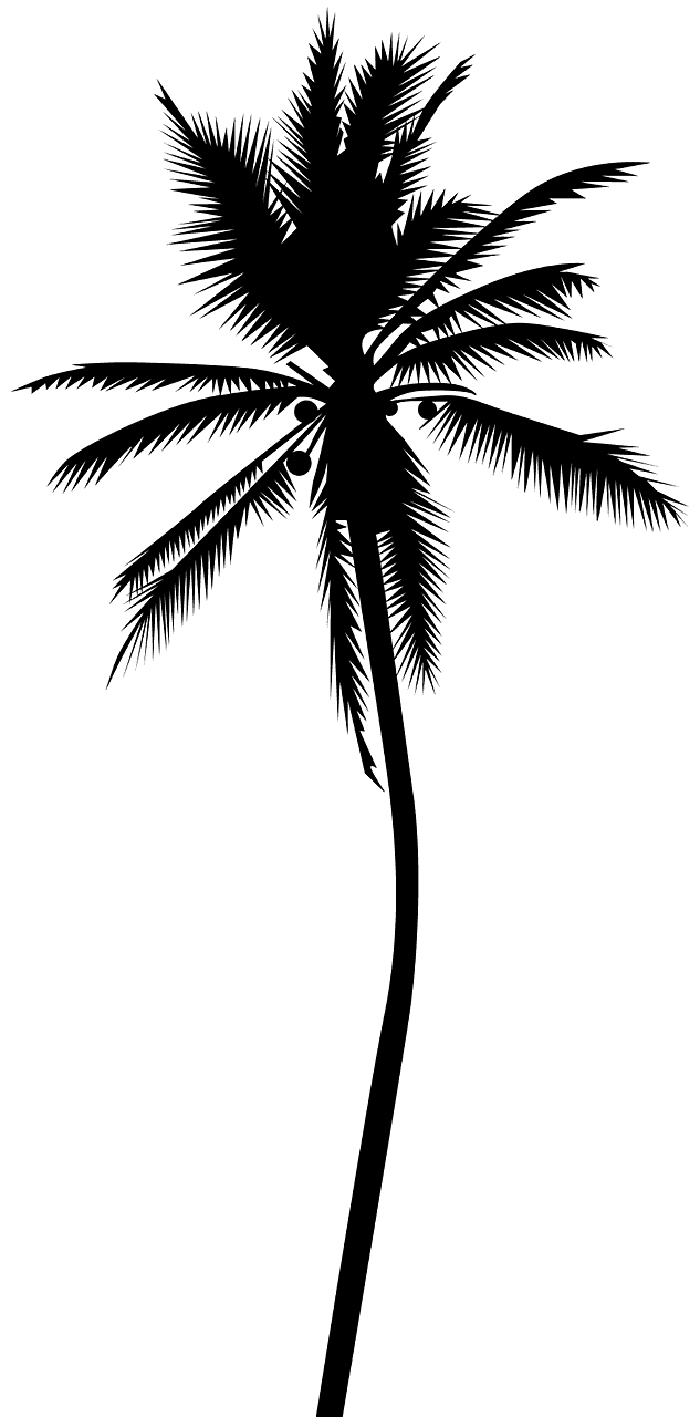 Palma