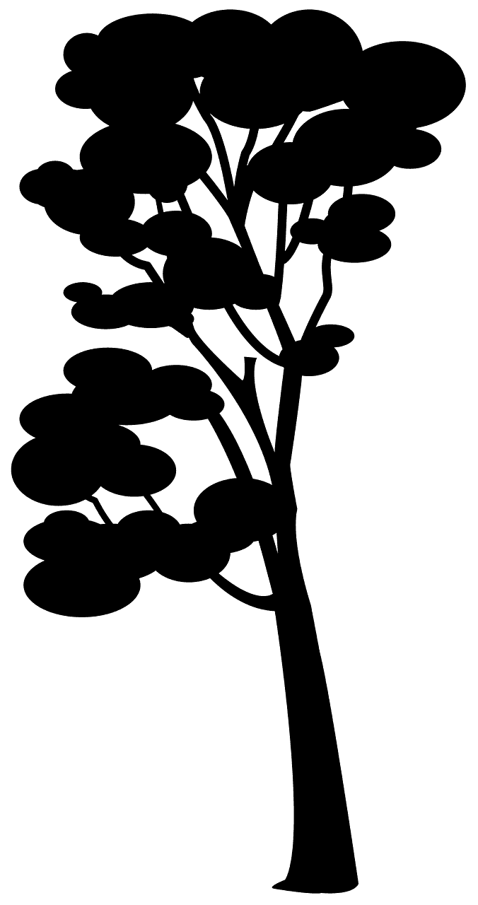 Gum
