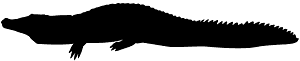 Nile Crocodile