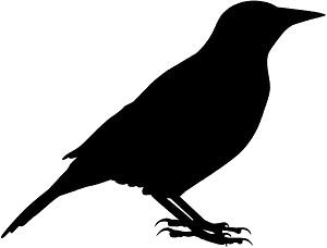 Sturnella