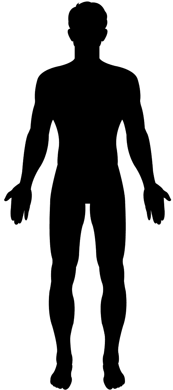 Male Body