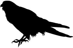 Kestrel