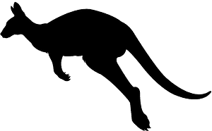 캥거루