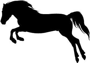 马跳