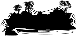 丛林
