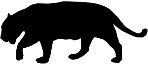 捷豹