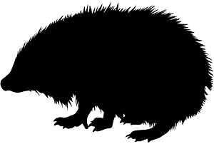 고슴도치