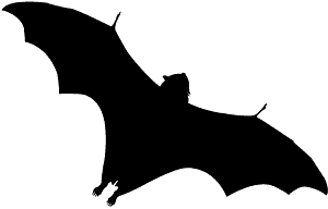 狐蝠