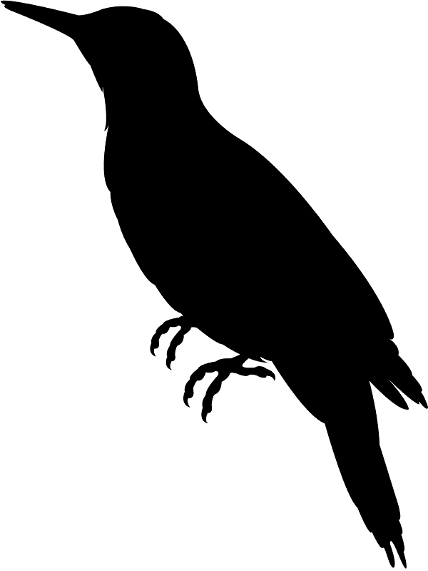 Flicker