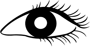 Eye