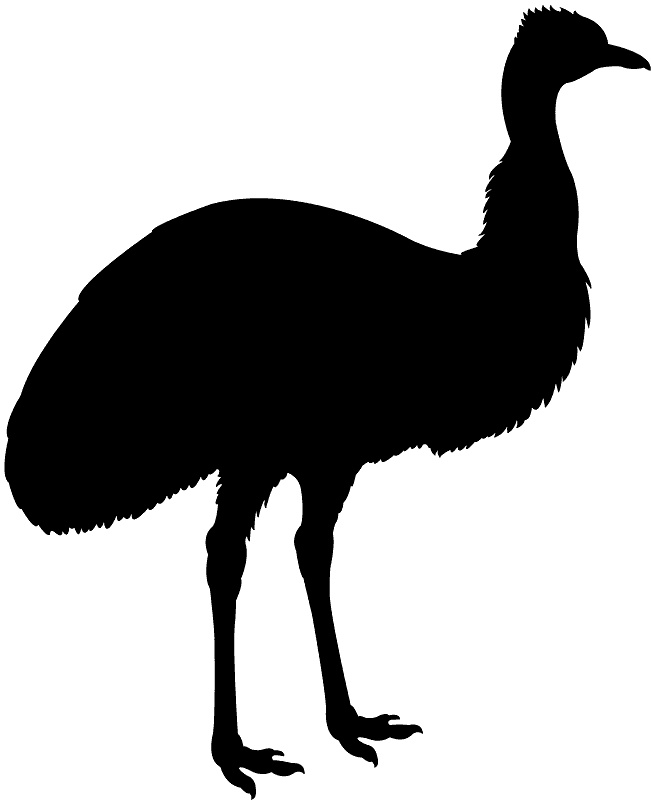 에뮤