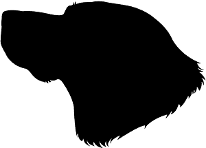 Dogs Head