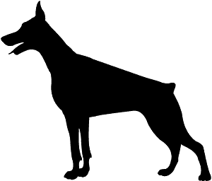 Doberman