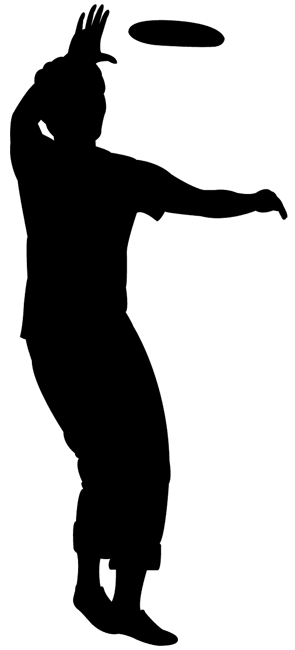 飞盘