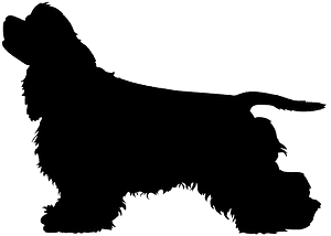 Cocker Spaniel