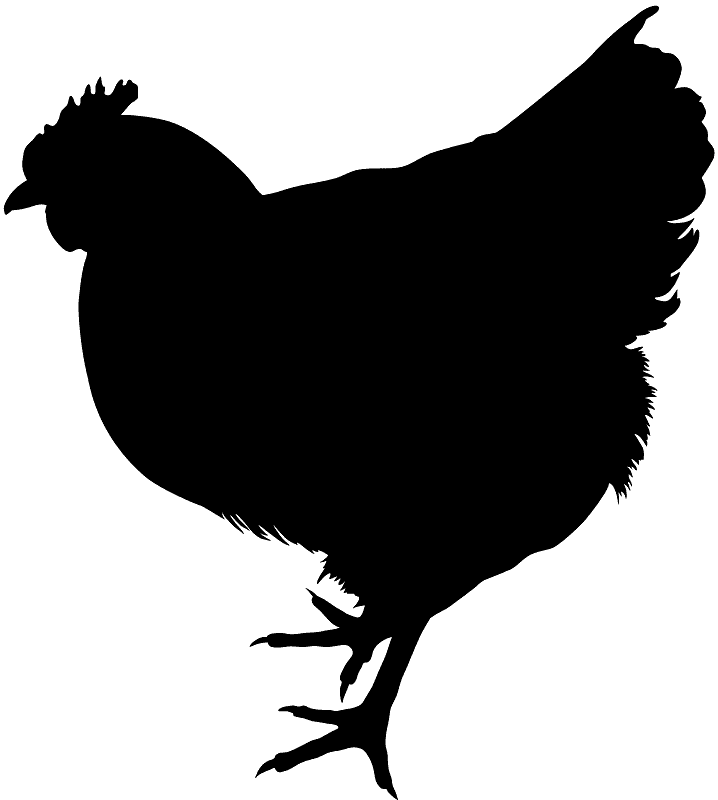 Курка