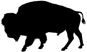 バッファロー