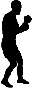 Boxer