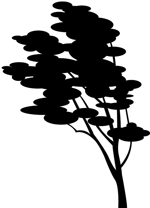 Betulla