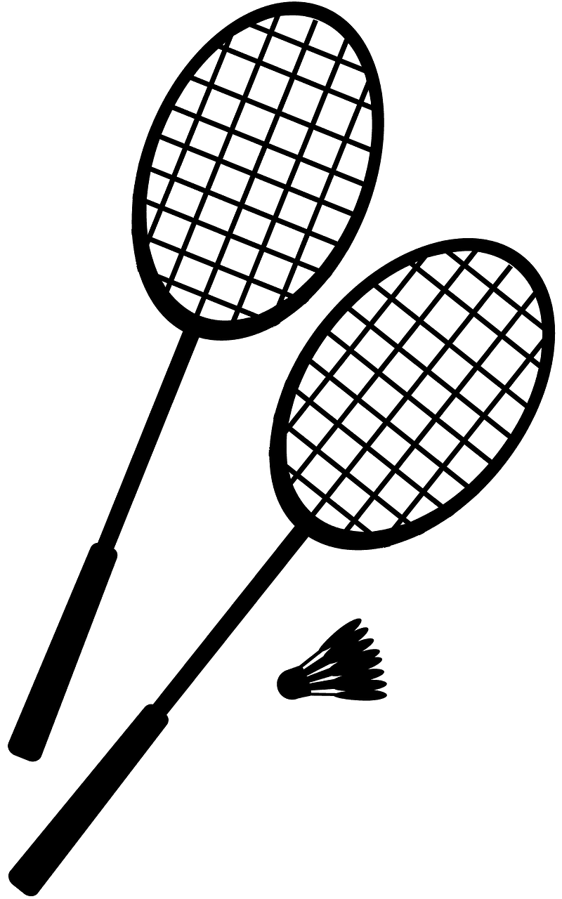 羽毛球拍和羽毛球