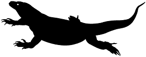 科莫多巨蜥