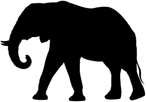 African Elephant