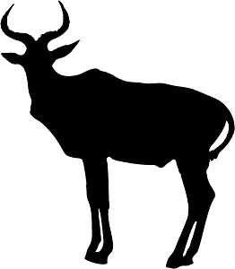 African antelope