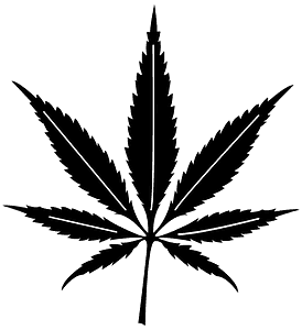 Foglia di cannabis