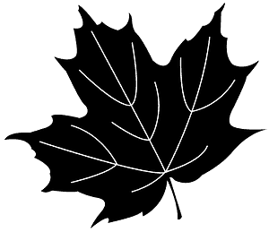 Maple Leaf