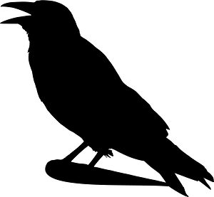 Crow