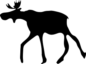 The Elk