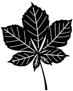 Chestnut leaf