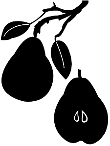 Pear