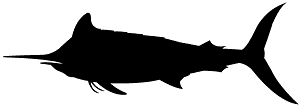 Марлін