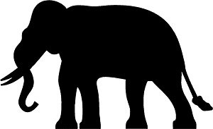 非洲象