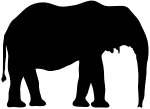 Elefante Africano