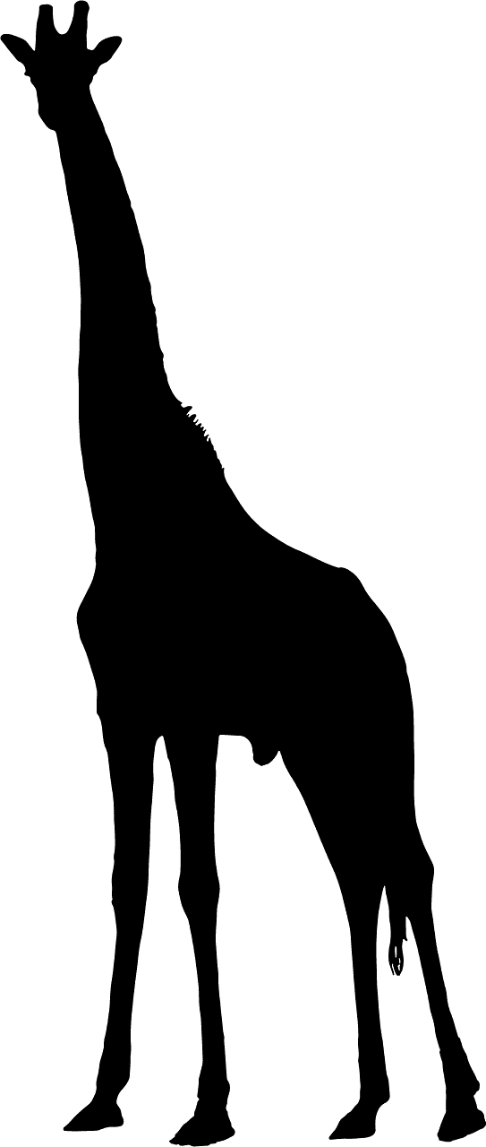 长颈鹿
