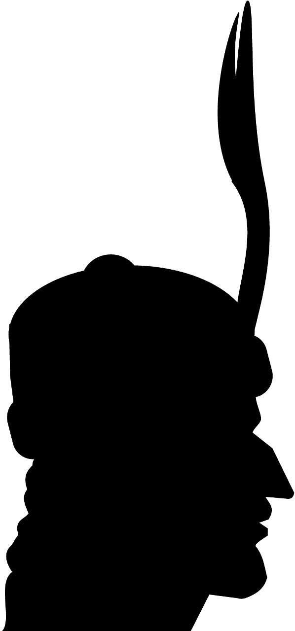 Indian Man Profile