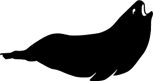 Seal