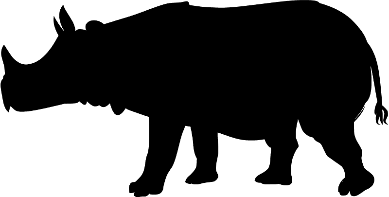 Javan rhino
