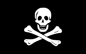 Pirate Flag of Edward England