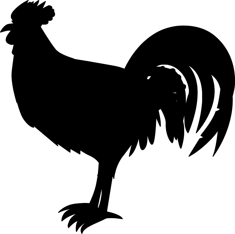Rooster