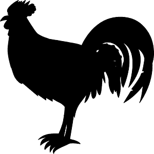 Rooster