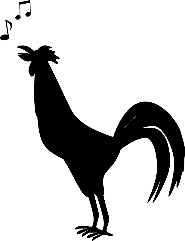 Rooster