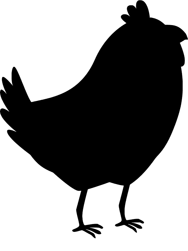 Chick