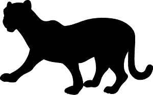Panther