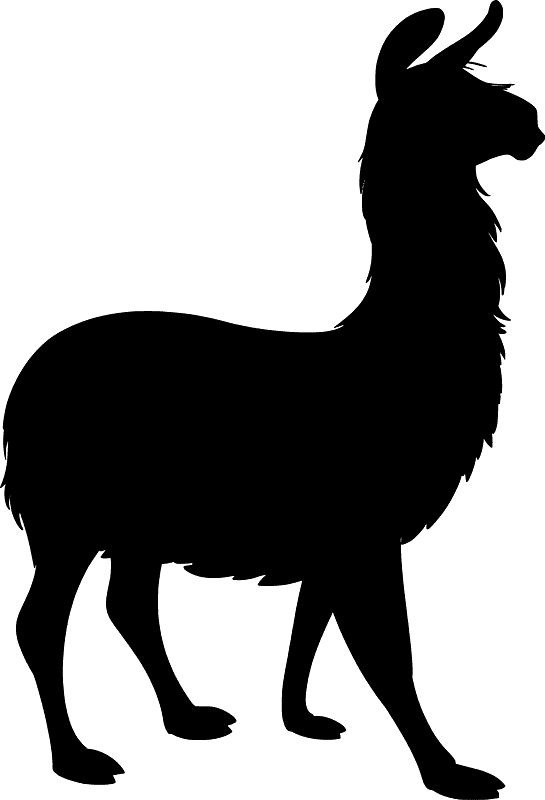 Llama