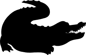 Alligator
