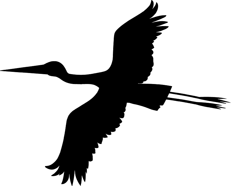 Stork